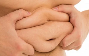 पेट की चर्बी 